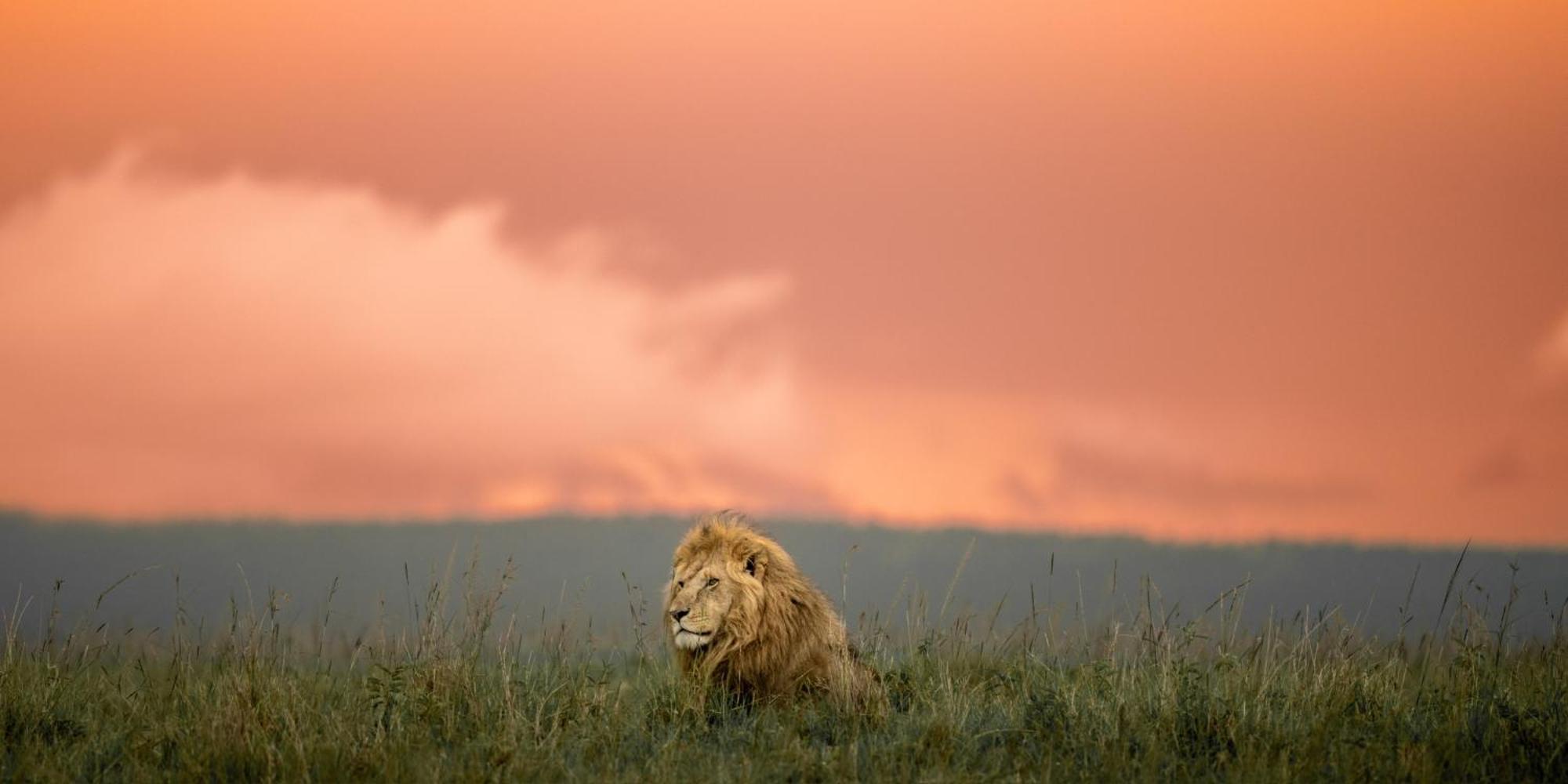 Olkinyei Mara Tented Camp Talek Eksteriør bilde